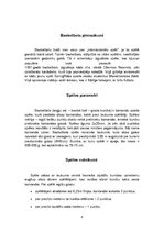 Referāts 'Basketbols Latvijā', 4.