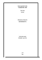 Prakses atskaite 'SIA "Norma – S" menedžmetns', 1.