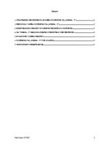 Prakses atskaite 'SIA "Norma – S" menedžmetns', 2.