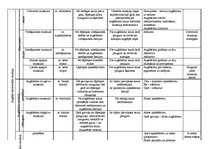 Konspekts 'Cilvēka muskuļi', 7.