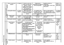 Konspekts 'Cilvēka muskuļi', 8.