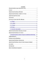 Referāts 'Nekustamā īpašuma tirgus raksturojums Latvijā', 2.