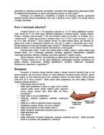 Referāts 'Tenisista elkonis', 6.