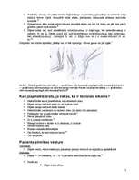 Referāts 'Tenisista elkonis', 7.