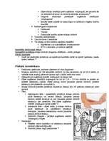 Referāts 'Tenisista elkonis', 8.