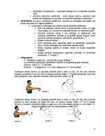 Referāts 'Tenisista elkonis', 11.