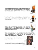 Referāts 'Tenisista elkonis', 13.