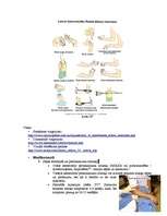 Referāts 'Tenisista elkonis', 14.