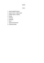 Referāts 'Jaguārs', 1.