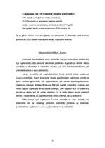 Referāts 'Uzņēmuma "Landwood" raksturojums', 4.