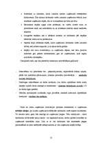 Referāts 'Uzņēmuma "Landwood" raksturojums', 23.