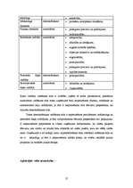 Referāts 'Uzņēmuma "Landwood" raksturojums', 27.