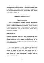 Referāts 'Uzņēmuma "Landwood" raksturojums', 28.