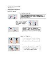 Referāts 'Mugurkaula saslimšanas un ārstēšana', 3.