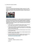 Referāts 'Mugurkaula saslimšanas un ārstēšana', 8.