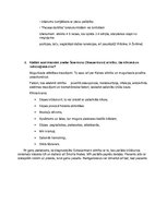 Referāts 'Mugurkaula saslimšanas un ārstēšana', 9.