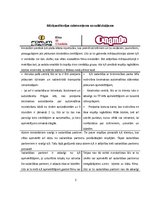 Referāts 'Reputācijas analīze diviem konkurējošiem uzņēmumiem', 5.