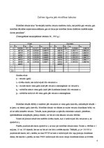 Referāts 'Dzīves ilgums - tā varbūtība', 4.