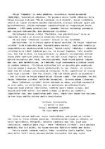 Eseja 'Raiņa un mans "nākotnes cilvēks"', 4.