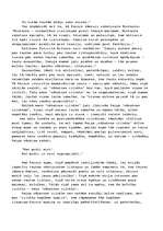 Eseja 'Raiņa un mans "nākotnes cilvēks"', 7.