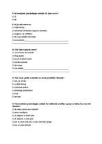 Konspekts 'Anketa', 3.