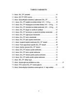 Referāts 'SIA “TF” darbības vērtējums un attīstības perspektīvas', 4.