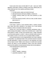 Referāts 'SIA “TF” darbības vērtējums un attīstības perspektīvas', 30.