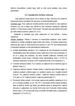 Referāts 'SIA “TF” darbības vērtējums un attīstības perspektīvas', 37.