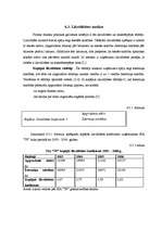 Referāts 'SIA “TF” darbības vērtējums un attīstības perspektīvas', 39.