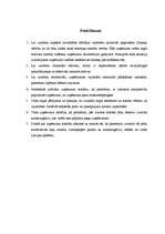 Referāts 'SIA “TF” darbības vērtējums un attīstības perspektīvas', 65.