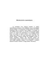 Referāts 'Studentu nodarbību apmeklējums', 13.