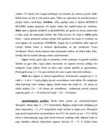 Referāts 'Galda bietes', 3.