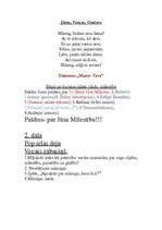 Paraugs 'Māmiņdienas scenārijs', 5.