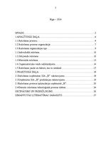 Referāts 'Ražošanas organizāciju veidi un to salīdzinājums', 2.