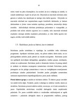 Referāts 'Ražošanas organizāciju veidi un to salīdzinājums', 16.