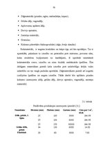 Referāts 'Ražošanas organizāciju veidi un to salīdzinājums', 20.