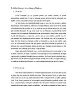 Referāts 'Karlosa Kastaņedas 13 gadi maģijā', 4.