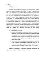 Referāts 'Karlosa Kastaņedas 13 gadi maģijā', 11.