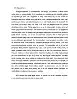 Referāts 'Karlosa Kastaņedas 13 gadi maģijā', 13.