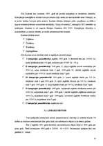 Referāts 'Pamatlīdzekļu nolietojums', 14.