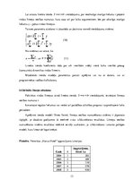 Referāts 'Dinamikas rindu analīzes parktiskā izmantošana tirgzinību pētīšanā un reklāmas p', 13.