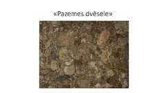 Prezentācija 'Mākslas stili, ievērojamākie mākslinieki un viņu darbi', 209.