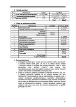 Biznesa plāns 'Biznesa plāns', 19.