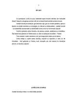 Referāts 'Antīkā filosofija', 3.