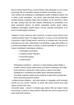 Referāts 'Melu fenomens', 6.