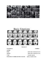 Referāts 'Melu fenomens', 27.