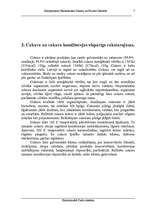 Referāts 'Cukura vieta Latvijas kombinētajā nomenklatūrā', 7.