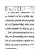 Biznesa plāns 'Bistro "Saule" tehnoloģiskais projekts', 41.