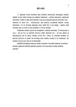 Referāts 'Reklāma internetā', 3.