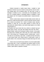 Referāts 'Reklāma internetā', 6.